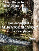 No need to send the captured illegals to El Salvado, the Miami-Dade Collier Training Facility is an abandoned airport facility right in the middle of the Everglades, and it presents an efficient, low-cost opportunity to build a temporary detention facility because you don't need to invest that much in the perimeter. If people get out, there's not much waiting for them other than alligators and pythons.